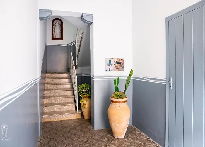 Ciatu Me 公寓 阿尔卡莫